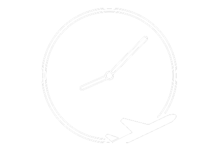 Automatic Flight Updates
